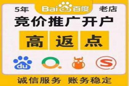 网站sem托管服务提供商的成功案例分析